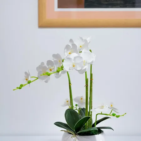 Theater Apartamento Split